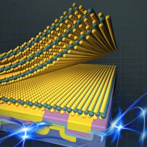 TWO-DIMENSIONAL MATERIAL DEVICES